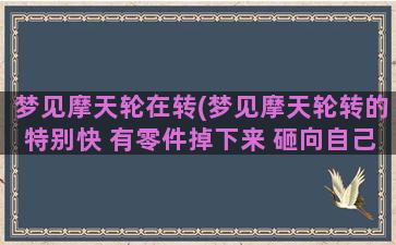 梦见摩天轮在转(梦见摩天轮转的特别快 有零件掉下来 砸向自己)